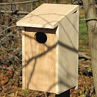 Wood Duck Houses